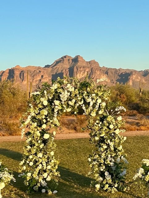 eden-garden-arch-mountain-view